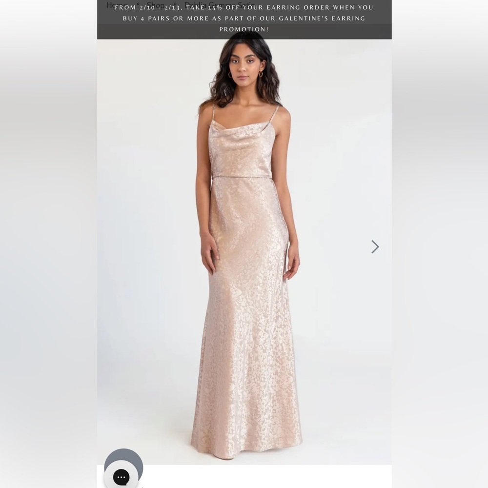 Bridesmaid Dress Brand New Jenny YOO bridesmaid dress